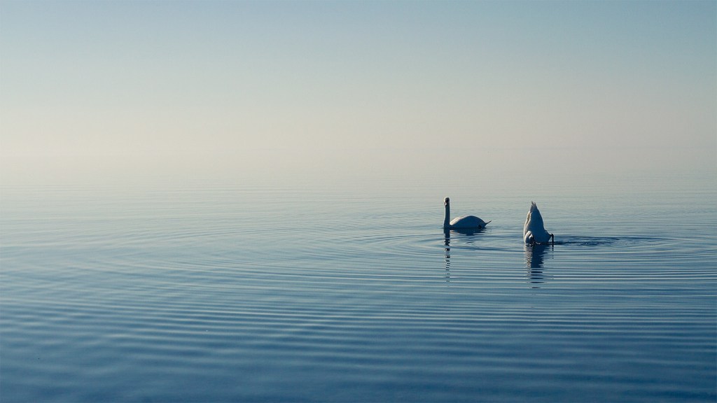 Rip It Up And Start&nbsp;Again