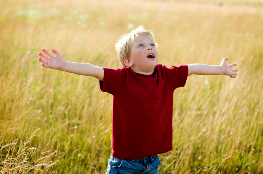 Without A Care In The&nbsp;World