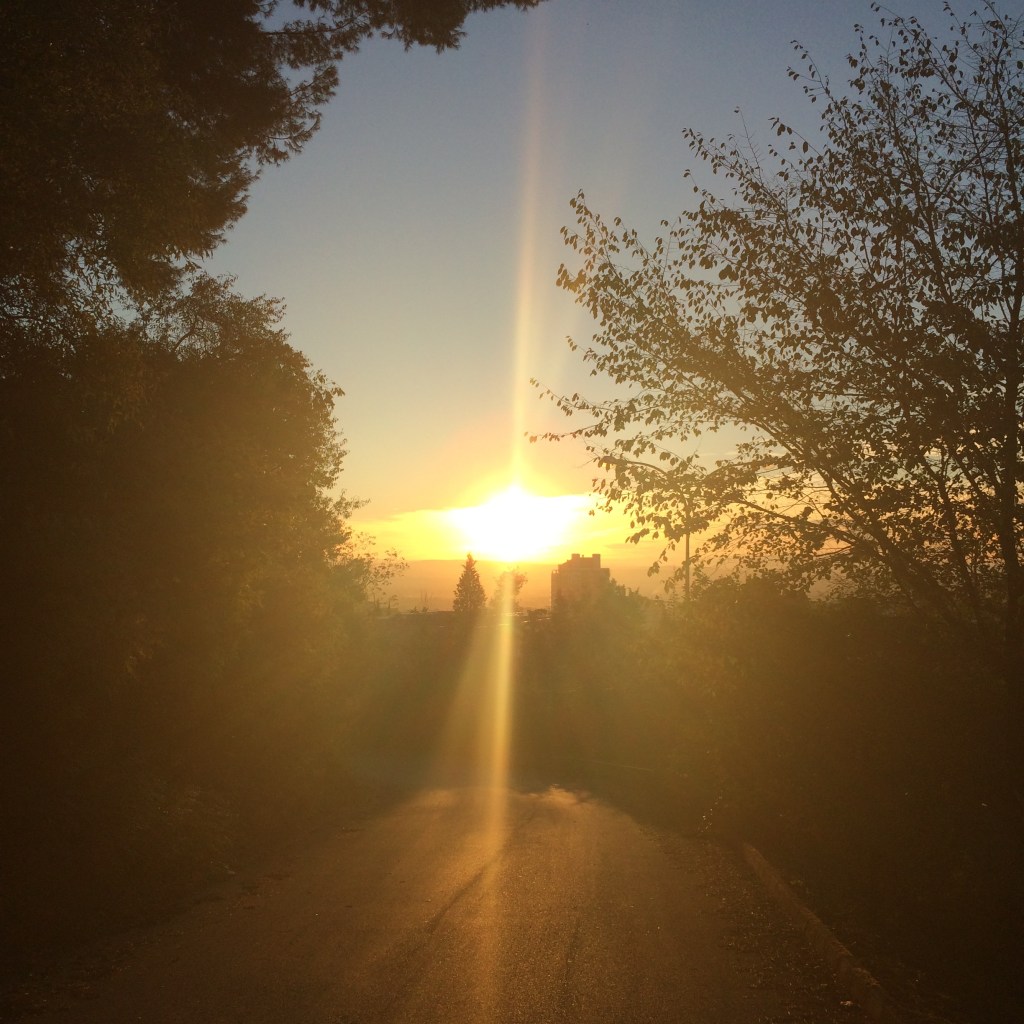 If You Were The&nbsp;Sun…