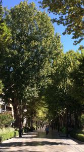 Carrera de la Virgen, Granada