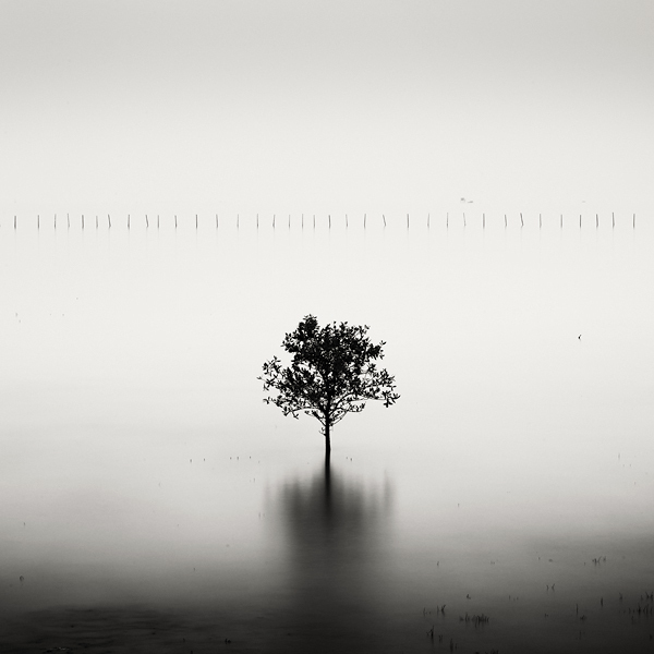 How Much Does Nostalgia&nbsp;Cost?