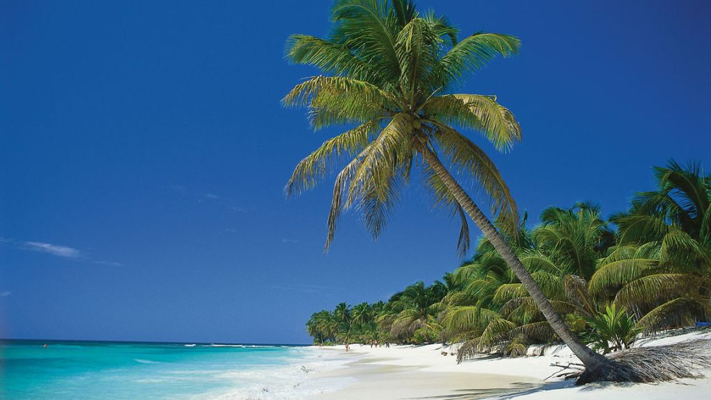 The Seychelles