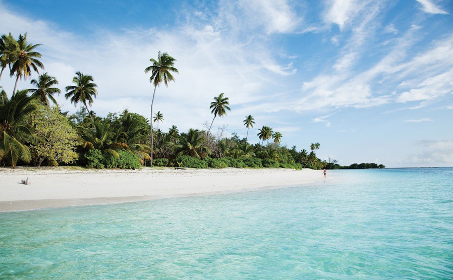 What Are You Looking Forward&nbsp;To?