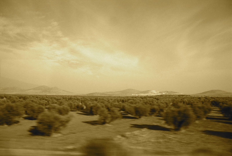 The Serenity Of The Long Distance Bus&nbsp;Traveller