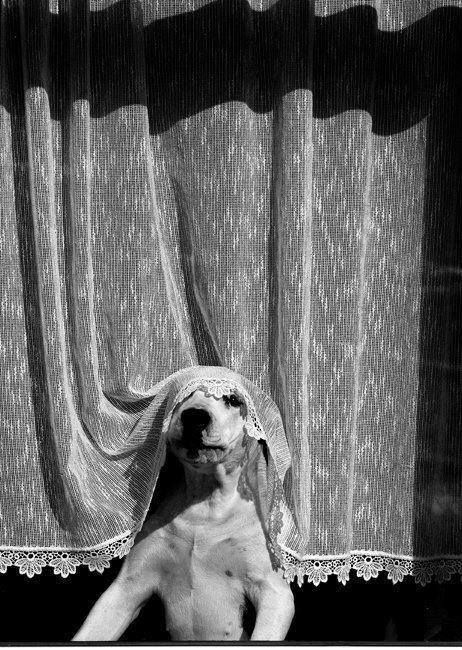 Being Away From The Noise In&nbsp;Granada