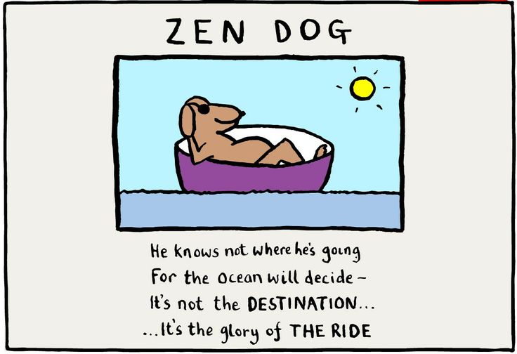 What We Can Learn From Zen&nbsp;Dog