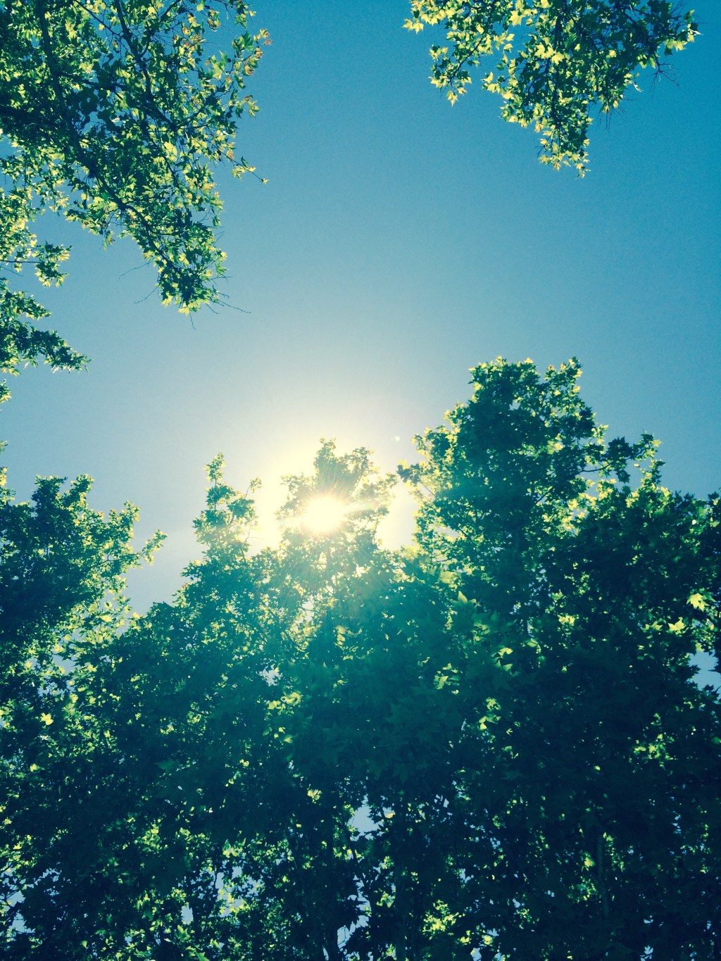 How To Get Lost And Love&nbsp;It