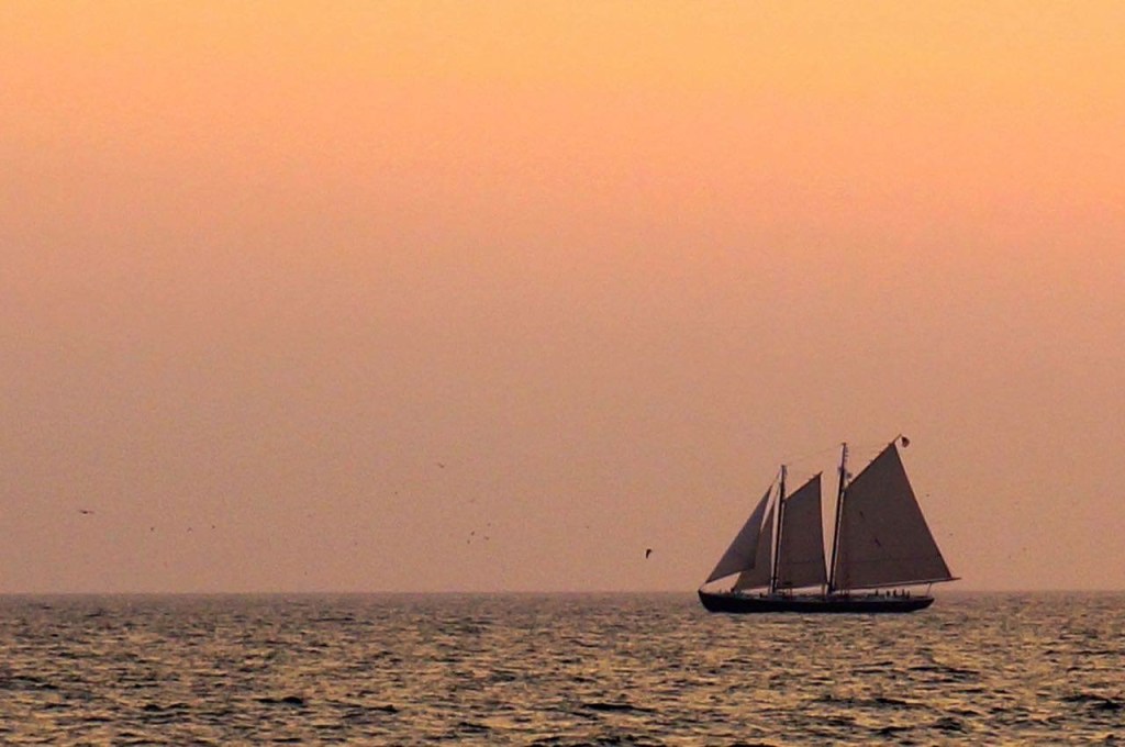 My First Blogerversary